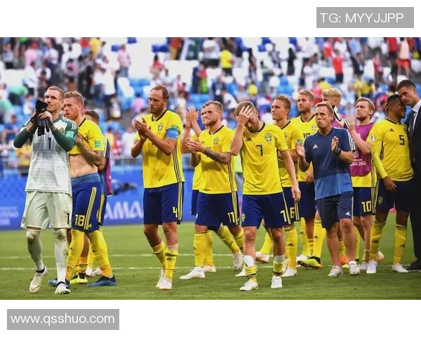 荷兰与瑞典今日赛事精彩对决分析及预测