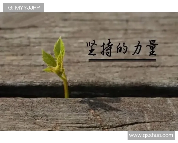 崔永熙：在时代浪潮中追寻梦想与坚持的力量