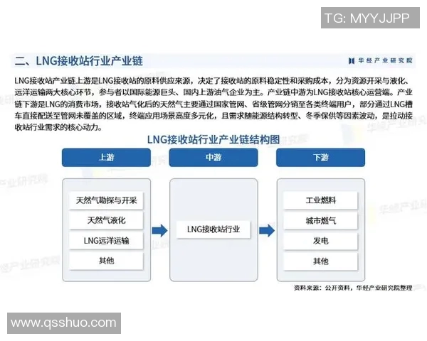 深度分析LNG产业链运营策略与市场趋势解读