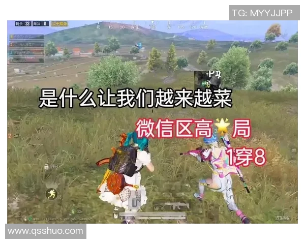 热议和平精英：LNG如何在竞争中实现快速变革与创新策略